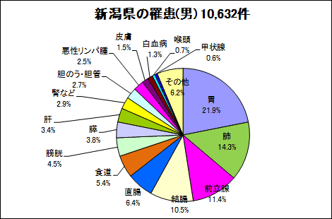 新潟県の罹患（男）10,632件