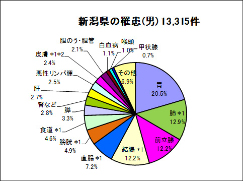 新潟県の罹患（男）13,315件