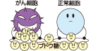 がん細胞は、一般的に正常細胞の3~8倍ものブドウ糖を取り込む性質があります。