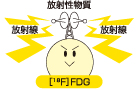 ［18F］FDGという検査薬を使用します。