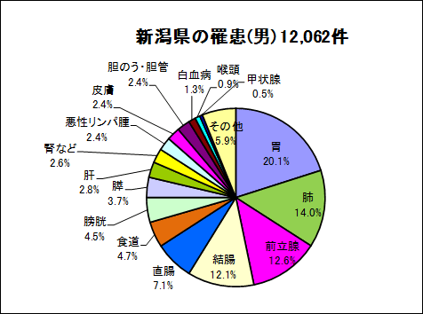 新潟県の罹患（男）12,062件