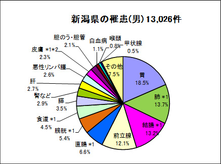 新潟県の罹患（男）13,026件