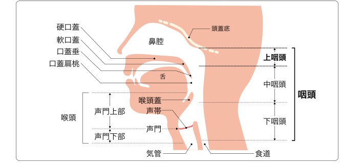 上咽頭がん