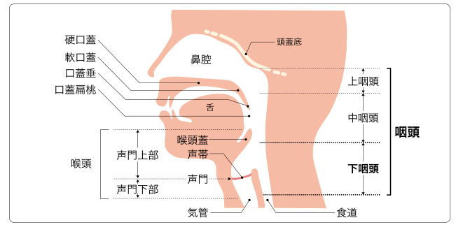下咽頭がん