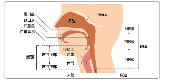 喉頭がん