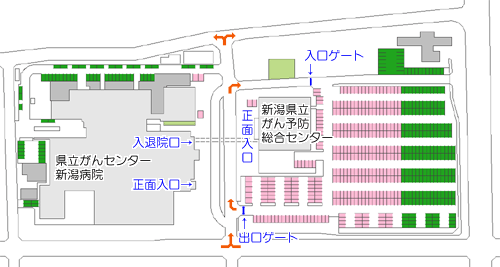 外来駐車場